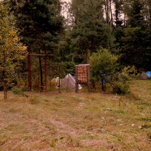 DSC_0486.JPG