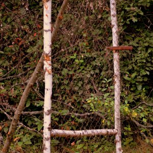 DSC_0839.JPG