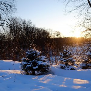 DSCF0789.JPG